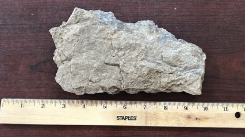 A rock measured with a ruler.