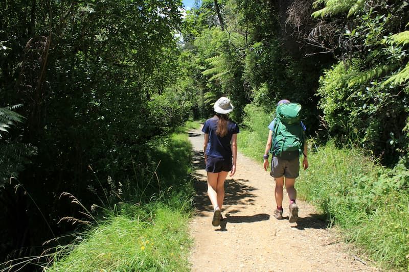 Two young folks walking on a trail in a park.
