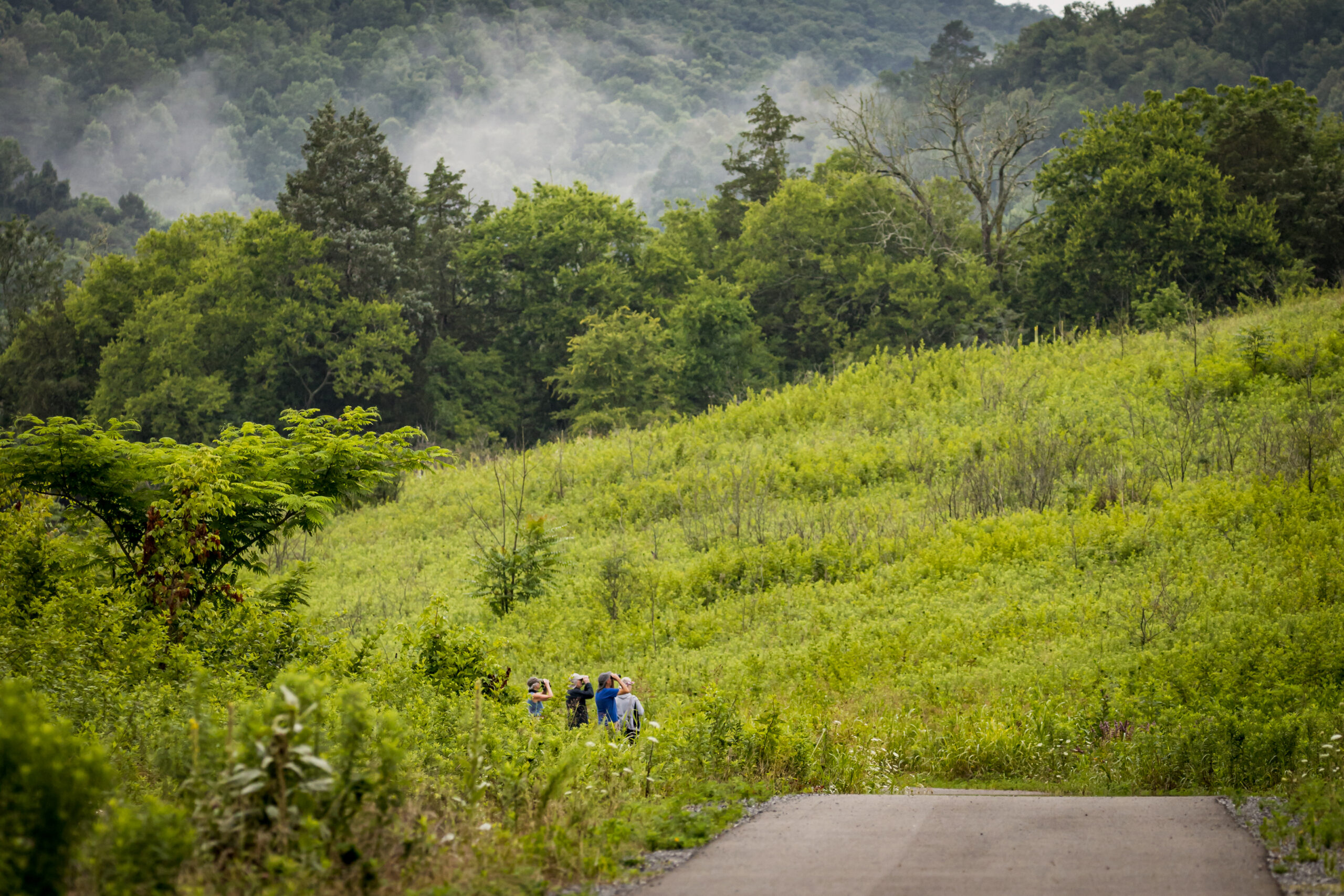 protecting-public-land-tennessee-state-parks-conservancy