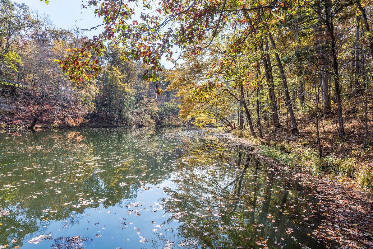 Governor’s Conservation Summit at Montgomery Bell State Park with state leaders, conservationists, and community members spent time outdoors in the water.
