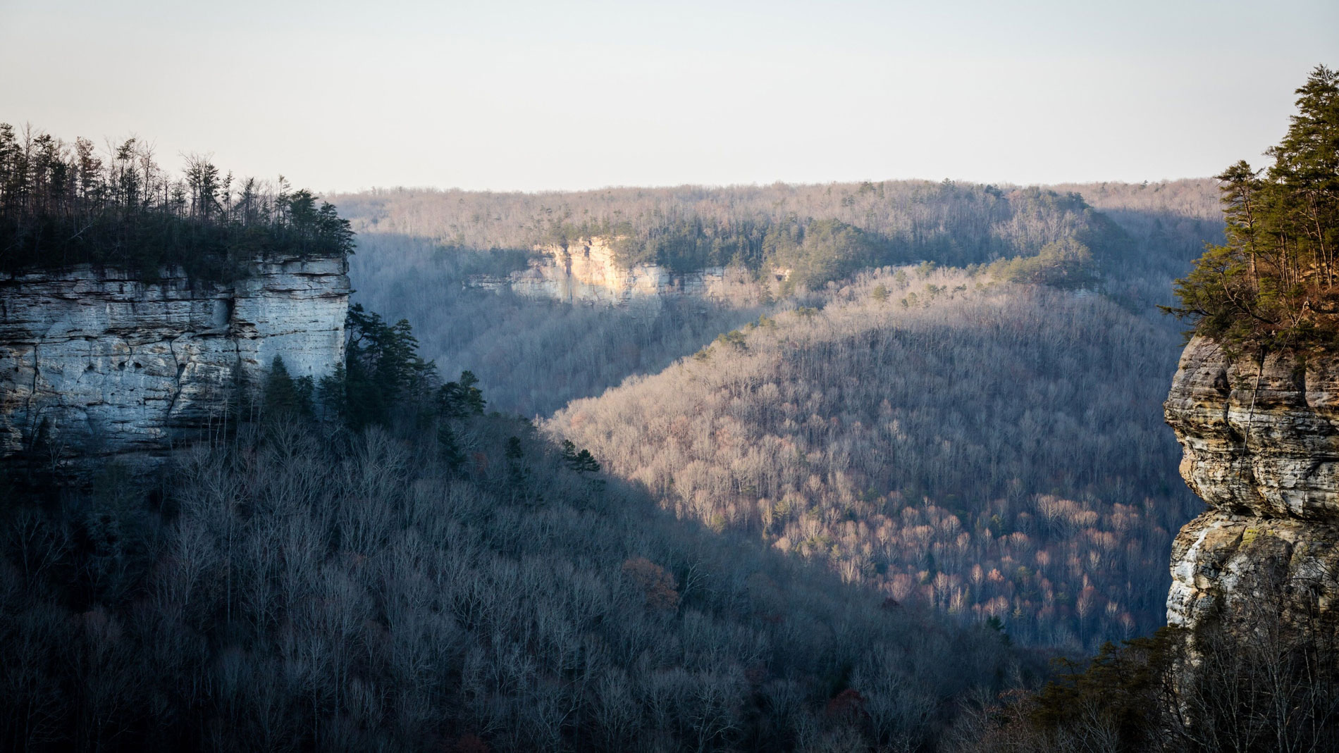 Scenic view of Pogue Creek State Natural Area featuring sandstone cliffs, forested canyon walls, and a winding creek beneath a clear Tennessee sky.
