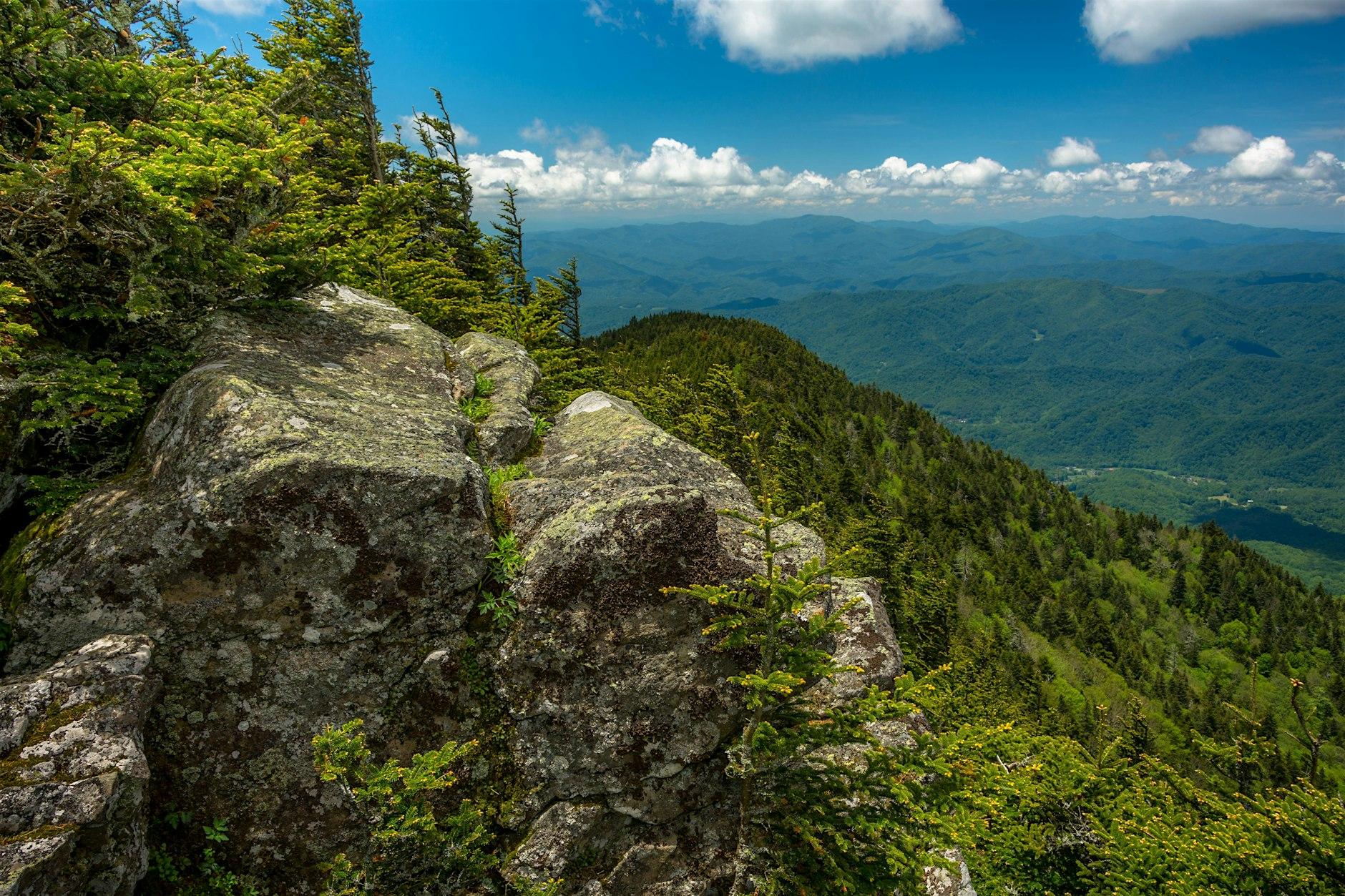 Parque Estatal Roan Mountain, con vistas a Tennessee y Carolina del Norte