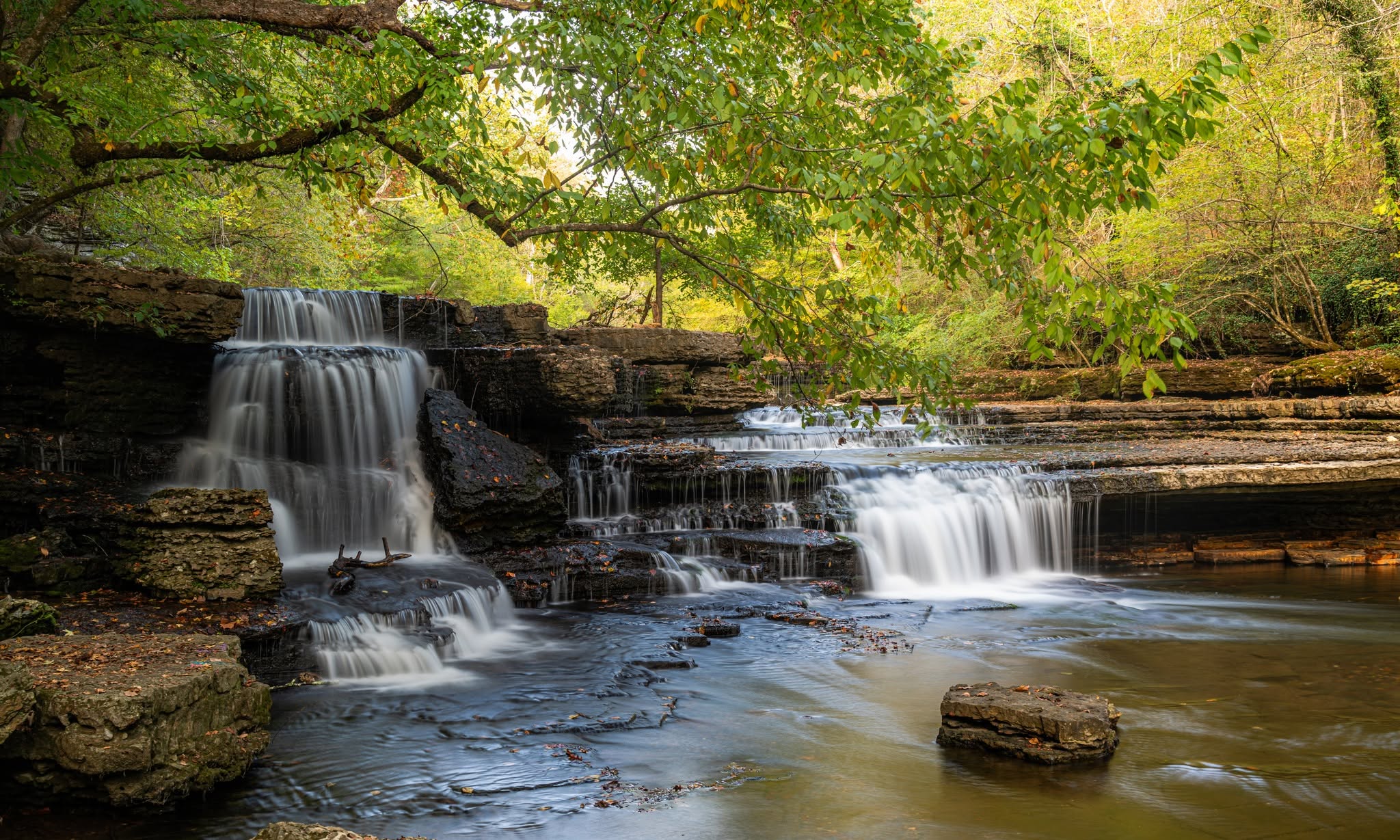 Photo by Ron at Old Stone Fork State Archaeological Park
